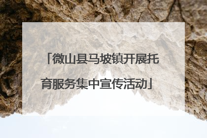 微山县马坡镇开展托育服务集中宣传活动