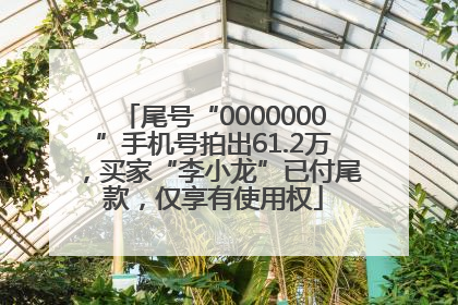 尾号“0000000”手机号拍出61.2万，买家“李小龙”已付尾款，仅享有使用权