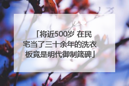 将近500岁 在民宅当了三十余年的洗衣板竟是明代御制箴碑