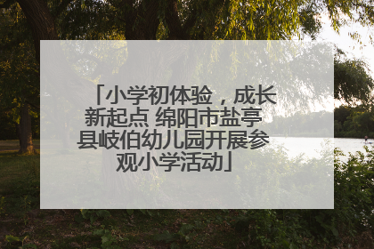小学初体验，成长新起点 绵阳市盐亭县岐伯幼儿园开展参观小学活动