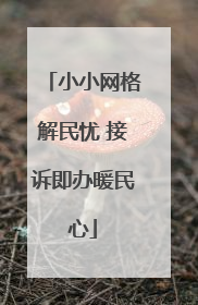 小小网格解民忧 接诉即办暖民心