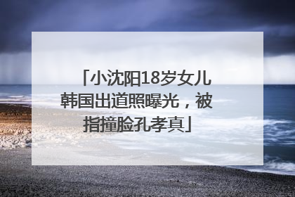 小沈阳18岁女儿韩国出道照曝光，被指撞脸孔孝真