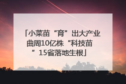 小菜苗“育”出大产业 曲周10亿株“科技苗”15省落地生根