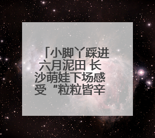 小脚丫踩进六月泥田 长沙萌娃下场感受“粒粒皆辛苦”