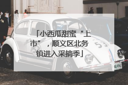 小西瓜甜蜜“上市”，顺义区北务镇进入采摘季