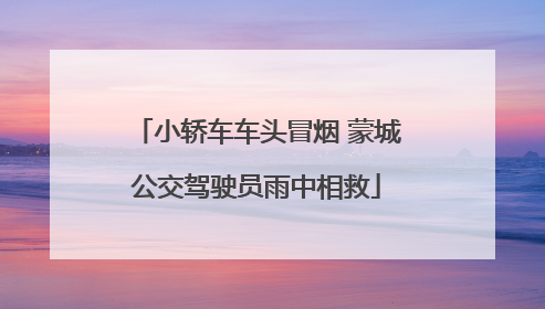 小轿车车头冒烟 蒙城公交驾驶员雨中相救