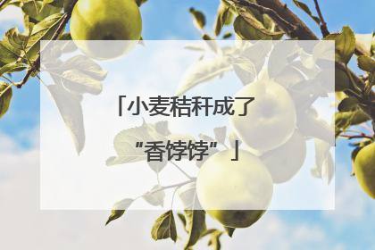 小麦秸秆成了“香饽饽”