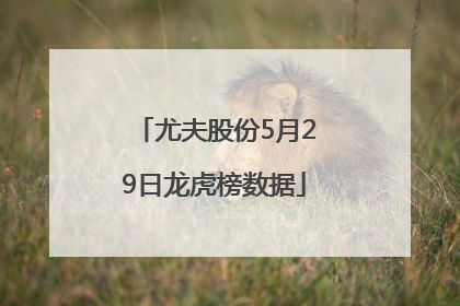尤夫股份5月29日龙虎榜数据