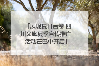 展现夏日画卷 四川文旅夏季宣传推广活动在巴中开启