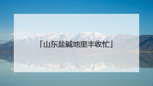 山东盐碱地里丰收忙