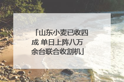 山东小麦已收四成 单日上阵八万余台联合收割机