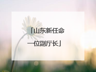山东新任命一位副厅长
