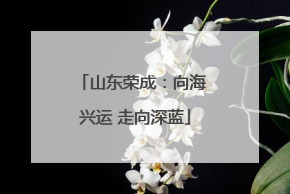 山东荣成：向海兴运 走向深蓝