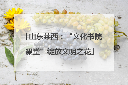 山东莱西：“文化书院课堂”绽放文明之花