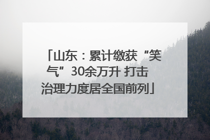 山东：累计缴获“笑气”30余万升 打击治理力度居全国前列