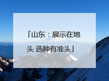 山东：展示在地头 选种有准头