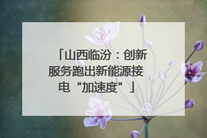 山西临汾：创新服务跑出新能源接电“加速度”