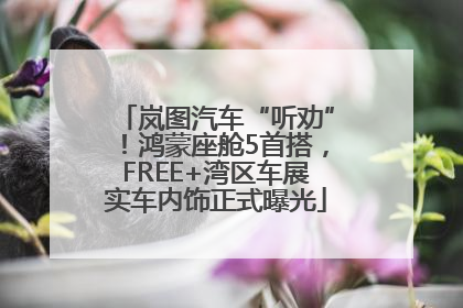 岚图汽车“听劝”！鸿蒙座舱5首搭，FREE+湾区车展实车内饰正式曝光