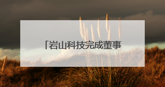 岩山科技完成董事会换届选举及高管聘任，核心层由头部券商背景的高管掌控