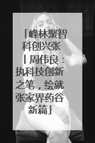 峰林聚智 科创兴张丨周伟良：执科技创新之笔，绘就张家界药谷新篇