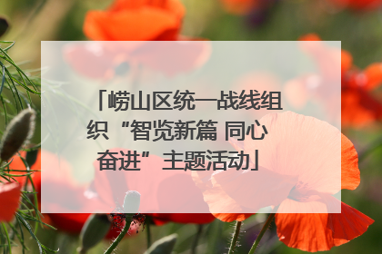 崂山区统一战线组织“智览新篇 同心奋进”主题活动