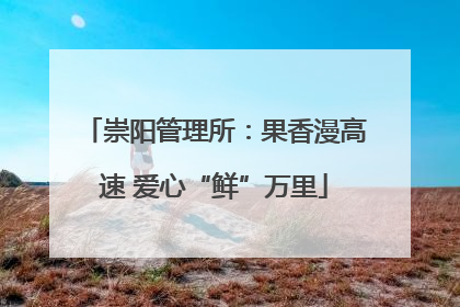 崇阳管理所：果香漫高速 爱心“鲜”万里