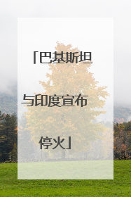 巴基斯坦与印度宣布停火