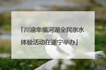 川渝幸福河湖全民亲水体验活动在遂宁举办
