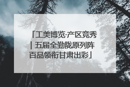 工美博览·产区竞秀|五届全勤陇原列阵 百品领衔甘肃出彩