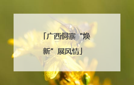 广西侗寨“焕新”展风情