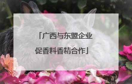 广西与东盟企业促香料香精合作
