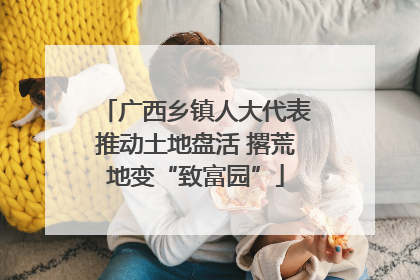 广西乡镇人大代表推动土地盘活 撂荒地变“致富园”
