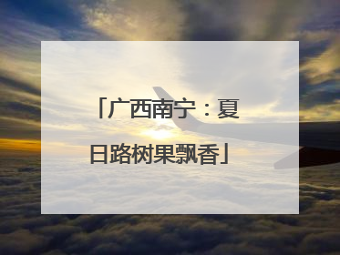 广西南宁：夏日路树果飘香