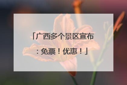 广西多个景区宣布：免票！优惠！