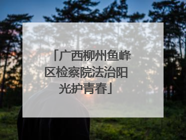广西柳州鱼峰区检察院法治阳光护青春