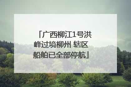 广西柳江1号洪峰过境柳州 辖区船舶已全部停航