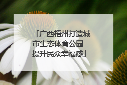 广西梧州打造城市生态体育公园 提升民众幸福感