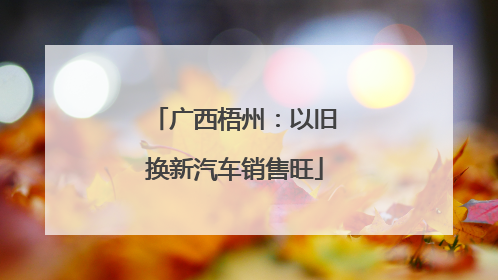 广西梧州：以旧换新汽车销售旺