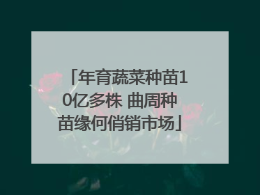 年育蔬菜种苗10亿多株 曲周种苗缘何俏销市场