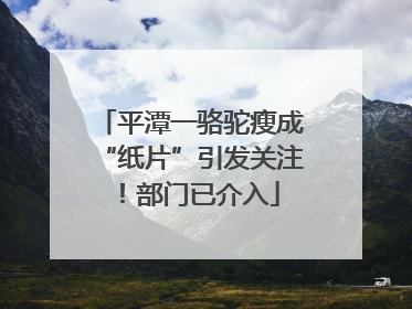 平潭一骆驼瘦成“纸片”引发关注！部门已介入