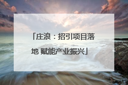 庄浪：招引项目落地 赋能产业振兴
