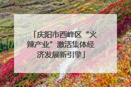 庆阳市西峰区“火辣产业”激活集体经济发展新引擎
