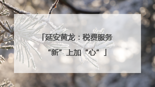 延安黄龙：税费服务“新”上加“心”