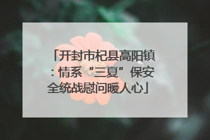 开封市杞县高阳镇：情系“三夏”保安全统战慰问暖人心