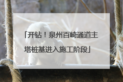 开钻！泉州百崎通道主塔桩基进入施工阶段