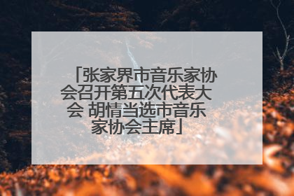 张家界市音乐家协会召开第五次代表大会 胡情当选市音乐家协会主席