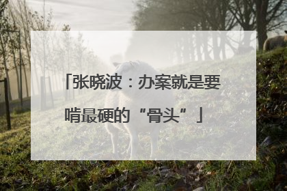 张晓波：办案就是要啃最硬的“骨头”