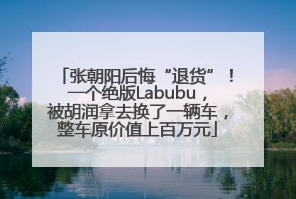 张朝阳后悔“退货”！一个绝版Labubu，被胡润拿去换了一辆车，整车原价值上百万元