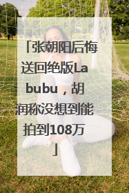张朝阳后悔送回绝版Labubu，胡润称没想到能拍到108万