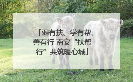 弱有扶、学有帮、善有行 南安“扶帮行”共筑暖心城
